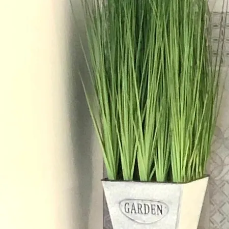 Osapart In A Complex Semycvit 利沃夫