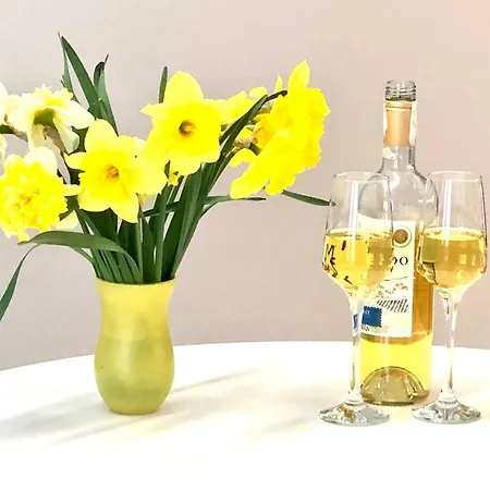 Osapart In A Complex Semycvit 公寓 利沃夫