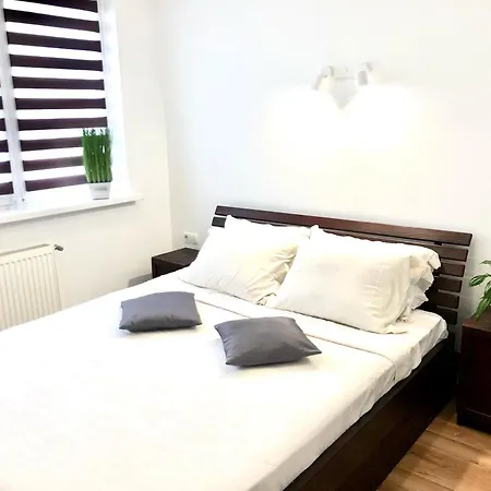 Osapart In A Complex Semycvit *