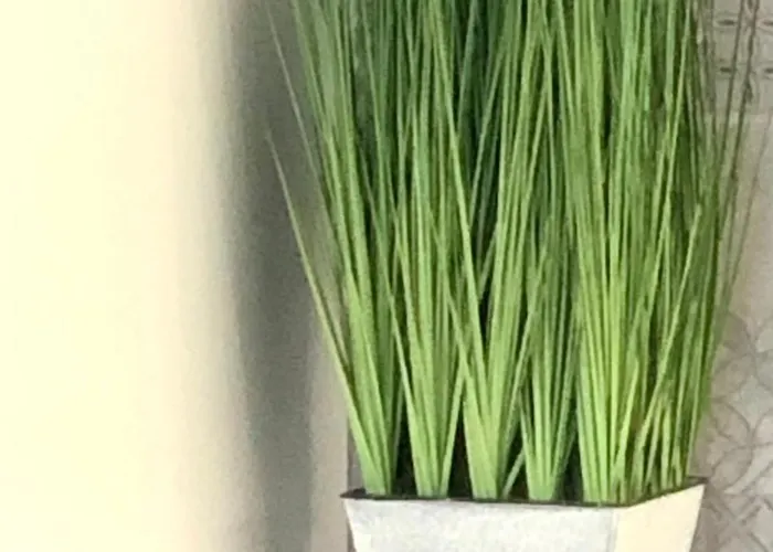 Osapart In A Complex Semycvit Leópolis