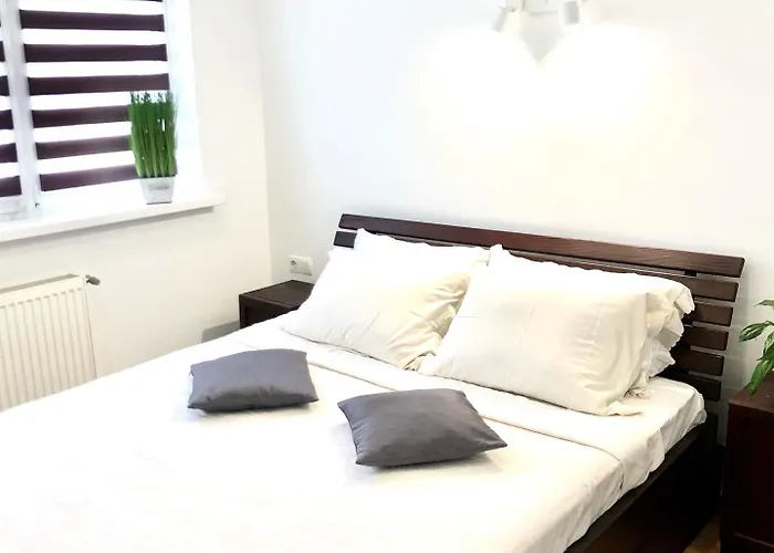 Osapart In A Complex Semycvit *